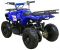 Электрический квадроцикл ATV CLASSIC E 800W NEW