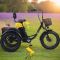 Трехколесный электровелосипед Fat Trike T NEW 750W с передней корзиной